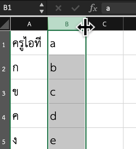 การปรับความกว้างคอลัมน์