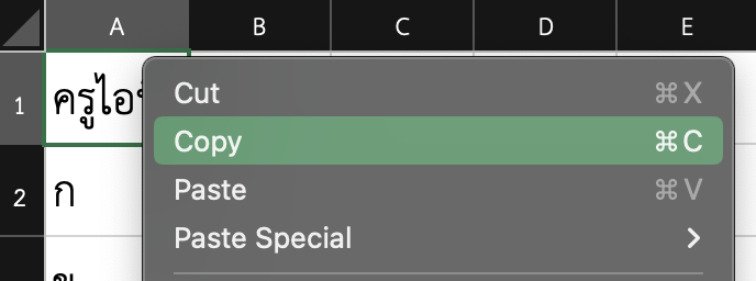 การคัดลอกข้อมูล