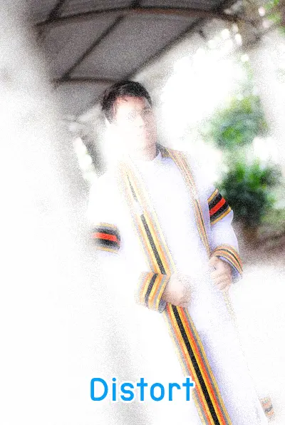 Distort Filter