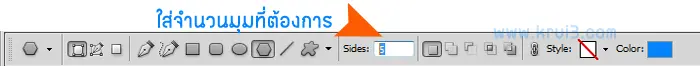 Polygon Option Bar