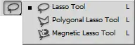 Lasso Tool Family
