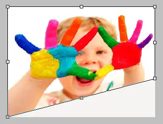 Free Transform Example