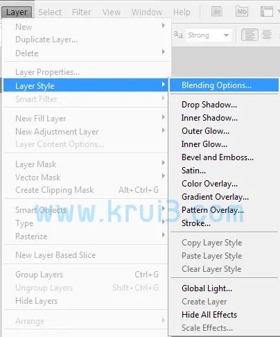Layer Style Menu